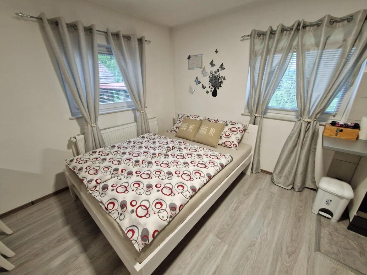 Guesthouse Ella Szluin Kültér fotó