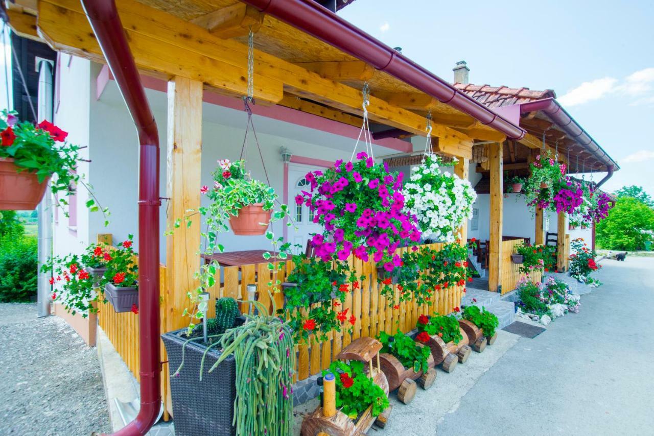 Guesthouse Ella Szluin Kültér fotó
